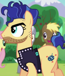 Size: 828x972 | Tagged: safe, screencap, coco crusoe, disco fever, fluttershy, royal riff, earth pony, pony, g4, the mane attraction, background pony, backup dancers, beard, clothes, facial hair, jacket, leather jacket, male, solo focus, stallion