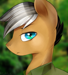 Size: 800x880 | Tagged: safe, artist:okaces, quibble pants, pony, g4, stranger than fan fiction, male, solo, stallion