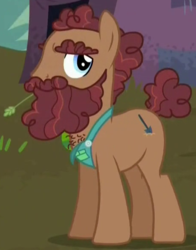 Size: 460x587 | Tagged: safe, screencap, gravedigger hooffield, earth pony, pony, g4, the hooffields and mccolts, background pony, beard, chest hair, clothes, cropped, facial hair, hooffield family, male, moustache, solo, stallion