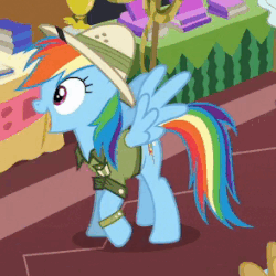 Size: 294x294 | Tagged: safe, screencap, daring do, rainbow dash, pegasus, pony, g4, season 6, stranger than fan fiction, adorkable, animated, clothes, cute, dashabetes, dork, excited, female, gif, happy, hat, loop, mare, open mouth, open smile, prancing, shirt, smiling, solo, spread wings, trotting, trotting in place, wings