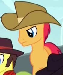 Size: 252x300 | Tagged: safe, screencap, bandana baldwin, high stakes, plateau sands, pokerhooves, earth pony, pony, appleoosa's most wanted, g4, angry, appleloosa resident, background pony, cowboy hat, cropped, hat, male, solo focus, stallion