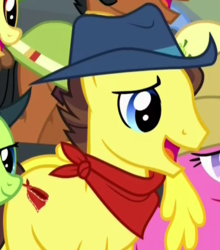 Size: 506x574 | Tagged: safe, screencap, bandana baldwin, cherry berry, high stakes, may fair, mccree, yuma spurs, earth pony, pony, appleoosa's most wanted, g4, appleloosa resident, background pony, bandana, cowboy hat, cropped, hat, male, solo focus, stallion