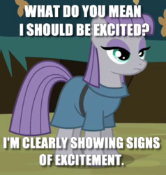 Size: 286x300 | Tagged: safe, edit, edited screencap, screencap, maud pie, g4, caption, excited, image macro, meme