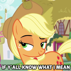 Size: 720x720 | Tagged: safe, screencap, applejack, earth pony, pony, g4, female, if you know what i mean, lidded eyes, mare, meme, ponified meme, reaction image, solo, y'all
