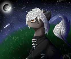 Size: 6000x5000 | Tagged: safe, artist:ognevitsa, oc, oc only, absurd resolution, clothes, floppy ears, grass, hair over one eye, looking up, moon, night, shirt, shooting star, sky, smiling, solo, stars