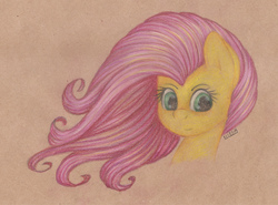 Size: 2326x1719 | Tagged: safe, artist:lilclim, fluttershy, g4, bust, female, looking at you, portrait, solo, traditional art, windswept mane