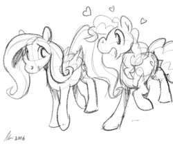 Size: 1280x1097 | Tagged: safe, artist:rwl, fluttershy, pinkie pie, pony, g4, female, lesbian, mare, ship:flutterpie, shipping, sketch, solo, wip