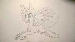 Size: 960x540 | Tagged: safe, artist:php123, oc, oc only, oc:cirrus sky, alicorn, hippogriff, pony, alicornified, happy, race swap, sketch, smiling, solo, spread wings, talons