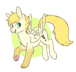 Size: 621x584 | Tagged: safe, oc, oc only, oc:exist, griffequus, hybrid, pegasus, pony, cute, feather, male, paw pads, paws, wings