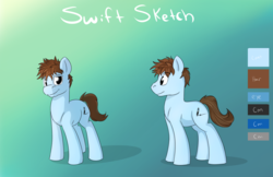 Size: 1280x828 | Tagged: safe, artist:swiftsketchpone, oc, oc only, oc:swift sketch, earth pony, pony, male, reference sheet, stallion