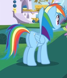 Size: 368x428 | Tagged: safe, screencap, rainbow dash, pony, g4, princess twilight sparkle (episode), butt, cropped, female, mare, plot