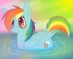 Size: 666x538 | Tagged: safe, artist:xxinfamouswormxx, rainbow dash, g4, adorable face, behaving like a bird, big eyes, blushing, chibi, cute, female, fluffy, frown, pegaduck, shiny, solo, swimming, water