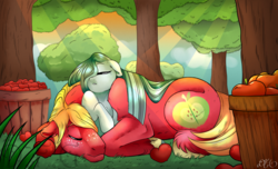 Size: 1600x971 | Tagged: safe, artist:dragonfoxgirl, big macintosh, marble pie, earth pony, pony, g4, cute, macabetes, male, marblebetes, ship:marblemac, shipping, size difference, sleeping, stallion, straight