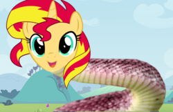 Size: 600x388 | Tagged: safe, artist:barbra, sunset shimmer, original species, pony, snake, snake pony, unicorn, g4, sunset slither, wat, what has science done