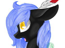 Size: 728x538 | Tagged: safe, artist:immagoddampony, oc, oc only, oc:cloudy night, ms paint, solo