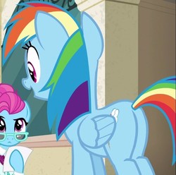Size: 624x618 | Tagged: safe, screencap, blue bobbin, rainbow dash, pony, g4, the saddle row review, butt, cropped, female, mare, plot