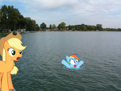 Size: 1600x1200 | Tagged: safe, artist:unknownartist111, applejack, rainbow dash, g4, asphyxiation, drowning, irl, lake, photo, ponies in real life, vector, water