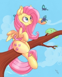 Size: 807x1000 | Tagged: safe, artist:dfectivedvice, artist:firebird145, fluttershy, butterfly, pegasus, pony, g4, belly button, cloud, colored, female, mare, sky, tree