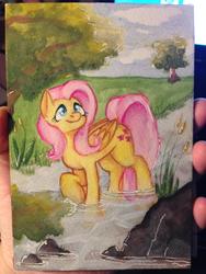 Size: 2448x3264 | Tagged: safe, artist:whale, fluttershy, g4, cloud, creek, female, field, grass, high res, looking up, nature, outdoors, raised hoof, rock, scenery, sky, solo, traditional art, tree, water