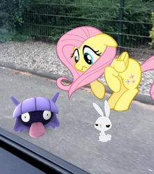 Size: 898x1018 | Tagged: safe, angel bunny, fluttershy, shellder, g4, floppy ears, frown, pokémon, pokémon go, rearing, wide eyes