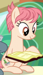Size: 492x846 | Tagged: safe, screencap, down under, raspberry vinaigrette, earth pony, pony, g4, the gift of the maud pie, background pony, book, female, friendship express, judgy clerk pony, male, mare, solo, stallion, train