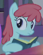Size: 140x180 | Tagged: safe, screencap, dewey morning, earth pony, pony, amending fences, g4, background pony, book, cropped, female, mare, solo