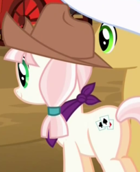 Size: 515x632 | Tagged: safe, screencap, cherry cola, cherry fizzy, penny ante, earth pony, pony, appleoosa's most wanted, g4, background pony, bandana, cowboy hat, cropped, female, hat, mare, solo focus