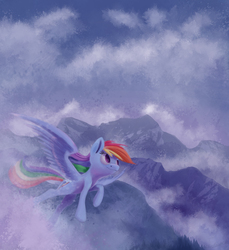 Size: 1600x1750 | Tagged: safe, artist:insanerobocat, rainbow dash, pegasus, pony, g4, female, flying, solo