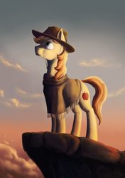 Size: 1681x2392 | Tagged: safe, artist:28gooddays, braeburn, earth pony, pony, g4, clothes, hat, looking up, male, poncho, solo