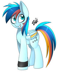 Size: 1802x2214 | Tagged: dead source, safe, artist:php69, oc, oc only, pegasus, pony, solo