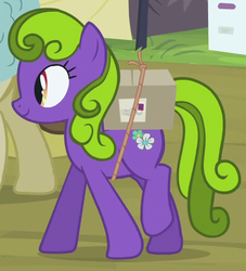 Size: 546x602 | Tagged: safe, screencap, earth pony, pony, g4, trade ya!, background pony, cropped, female, mare, package, recolor, rope, smiling, solo focus, unnamed character, unnamed pony, walking