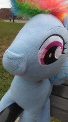 Size: 1080x1920 | Tagged: safe, rainbow dash, g4, cute, face of mercy, irl, photo, plushie