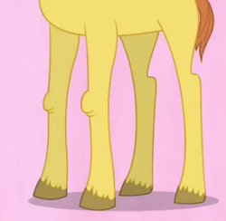 Size: 294x287 | Tagged: safe, screencap, tall tale (g4), pony, g4, hearts and hooves day (episode), cropped, hearts and hooves day, legs, pictures of legs, simple background, solo, the perfect stallion