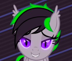 Size: 3692x3138 | Tagged: dead source, safe, artist:nevermattie, oc, oc only, bat pony, pony, cute, face, front view, high res, request, solo, vector