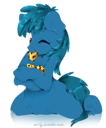 Size: 1024x1231 | Tagged: safe, artist:va1ly, earth pony, pony, belly fluff, blushing, cookie, cookie monster, crumbs, cute, eating, fluffy, food, leg fluff, male, nom, one eye closed, ponified, shoulder fluff, signature, simple background, solo, stallion, unshorn fetlocks, white background, wink