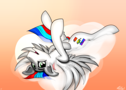 Size: 1280x914 | Tagged: safe, artist:pedalspony, oc, oc only, oc:pedals, pony, belly, female, lying down, male, on back, solo, spread wings, stallion, trans female, transgender, wings