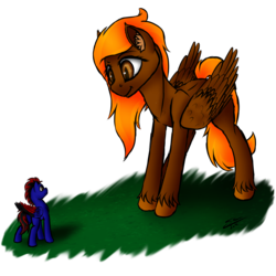 Size: 2000x2000 | Tagged: safe, artist:speed-chaser, oc, oc only, oc:blaze firehoof, oc:speed chaser, pegasus, pony, high res, macro, micro, simple background, size difference, transparent background, unshorn fetlocks