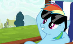 Size: 482x295 | Tagged: safe, screencap, rainbow dash, pony, g4, the cart before the ponies, cropped, sunglasses