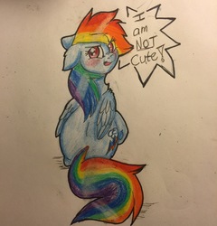 Size: 2448x2553 | Tagged: safe, artist:snowfoxythefox, derpibooru exclusive, rainbow dash, g4, adashable, angry, ballpoint pen, blatant lies, blushing, colored, colored pencil drawing, colored sketch, cute, dashabetes, ears back, female, high res, i'm not cute, pencil, pencil drawing, scrunchy face, simple background, solo, speech bubble, talking, talking to viewer, traditional art, tsunderainbow, tsundere