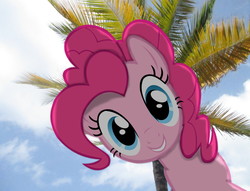 Size: 2904x2224 | Tagged: safe, artist:riniginianna, artist:tardisbrony, pinkie pie, g4, cute, grin, high res, irl, looking at you, looking down, palm tree, photo, ponies in real life, sky, smiling, solo, squee, tree, vector