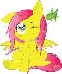 Size: 414x496 | Tagged: safe, artist:pinkamena-chan, fluttershy, bird, pony, g4, blushing, female, one eye closed, raised hoof, simple background, sitting, solo, spread wings, white background