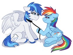 Size: 1970x1500 | Tagged: safe, artist:jekeita, rainbow dash, oc, oc:rainy, pegasus, pony, g4, bedroom eyes, canon x oc, collar, commission, eye contact, female, floppy ears, leash, lidded eyes, looking at each other, lying down, male, pegasus oc, pet play, romantic, shipping, sitting, smiling, spread wings, straight, wings