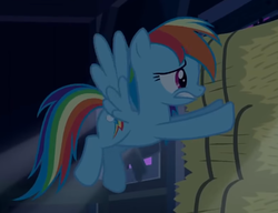 Size: 530x408 | Tagged: safe, screencap, rainbow dash, pony, 28 pranks later, g4, female, flying, mare, scared, scaredy dash, solo