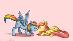 Size: 1004x572 | Tagged: safe, artist:jenmarii, fluttershy, rainbow dash, pony, g4, blushing, boop, eye contact, female, kinetic contrast, lesbian, looking at each other, mare, no more ponies at source, noseboop, ship:flutterdash, shipping, simple background