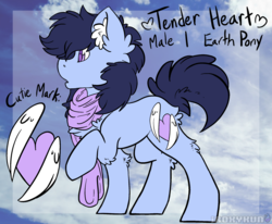 Size: 2134x1760 | Tagged: safe, artist:php166, oc, oc only, oc:tender heart, earth pony, pony, ear fluff, earth pony oc, male, reference sheet, solo, stallion, writing