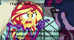 Size: 1277x688 | Tagged: safe, edit, edited screencap, screencap, sci-twi, sunset shimmer, twilight sparkle, equestria girls, g4, my little pony equestria girls: friendship games, caption, image macro, meme, monty python, monty python and the holy grail, sunset yells at twilight