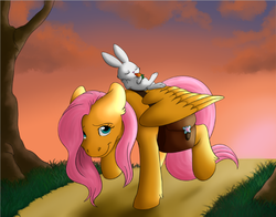 Size: 647x508 | Tagged: safe, artist:roolosdoodleden, angel bunny, fluttershy, g4, carrot, eating, food, herbivore, looking at you, saddle bag, sunset, walking