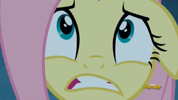 Size: 1277x713 | Tagged: safe, screencap, fluttershy, pony, 28 pranks later, g4, season 6, bust, close-up, discovery family logo, female, mare, portrait, solo