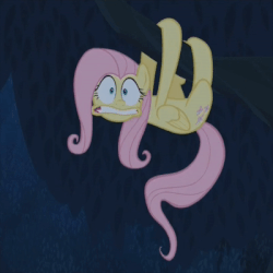 Size: 400x400 | Tagged: safe, screencap, fluttershy, pegasus, pony, 28 pranks later, g4, season 6, animated, behaving like a sloth, cropped, female, folded wings, gif, scared, solo, wings