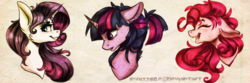 Size: 7087x2362 | Tagged: safe, artist:petrinox, pinkie pie, rarity, twilight sparkle, g4